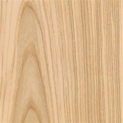 Esche – Aufnahme 1