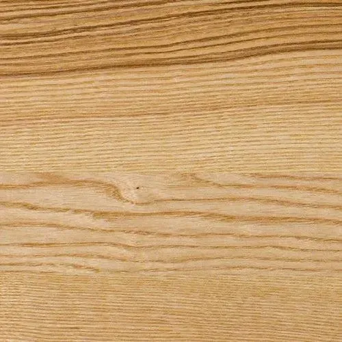Esche – Aufnahme 3