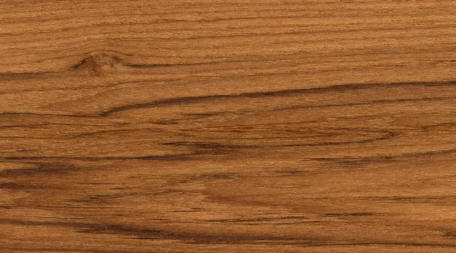 Teak – Aufnahme 5
